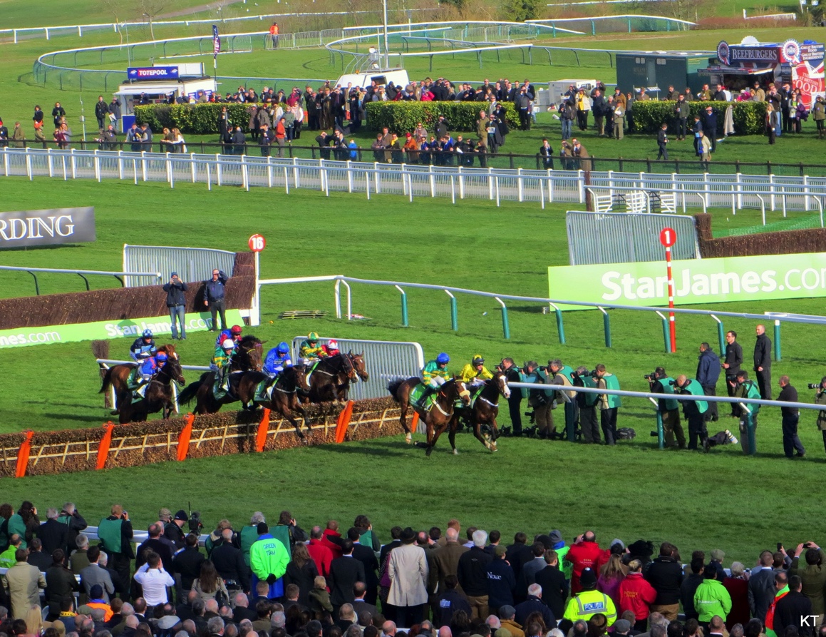 Cheltenham Festival 2024 Preview By Carine06 from UK - Champion Hurdle, CC BY-SA 2.0, https://commons.wikimedia.org/w/index.php?curid=37285214