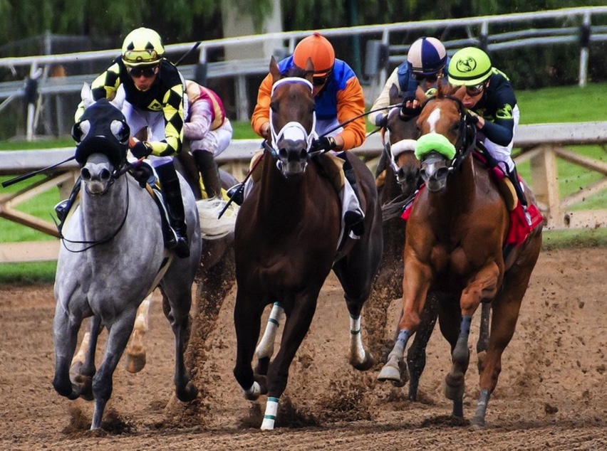 Image of horses racing to represent Japan Horse Racing