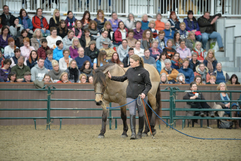 Parelli Demonstrations at Your Horse Live: Alison Jones and Yellow at play