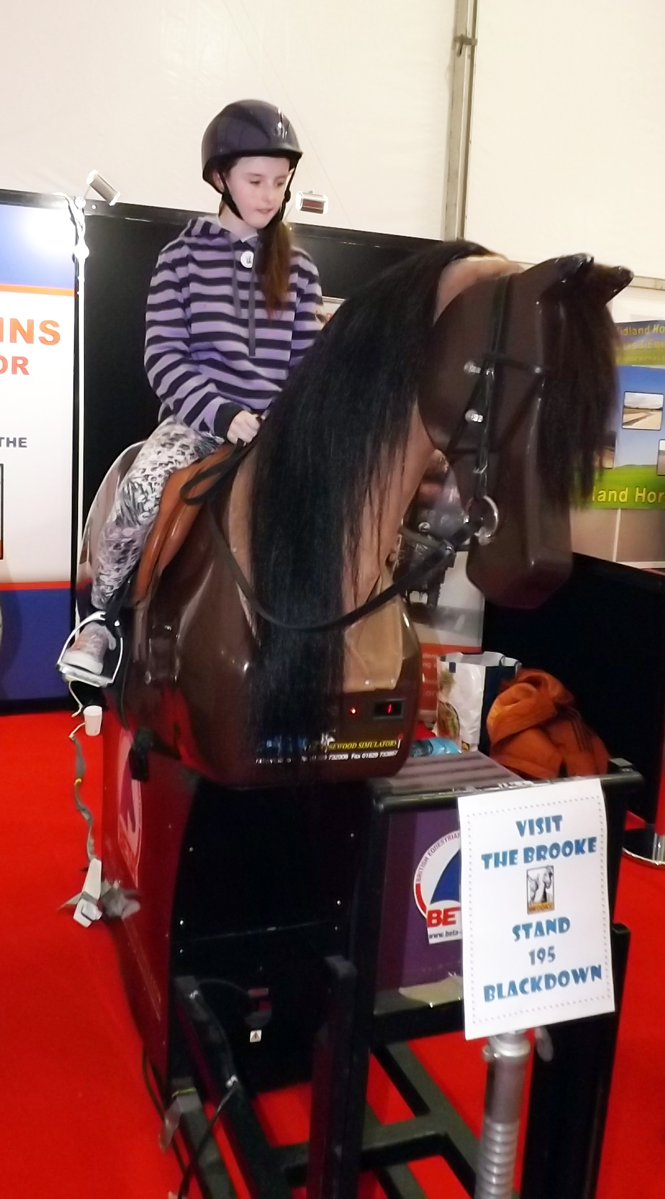 Your Horse Live 2015 - Simulator Fun!