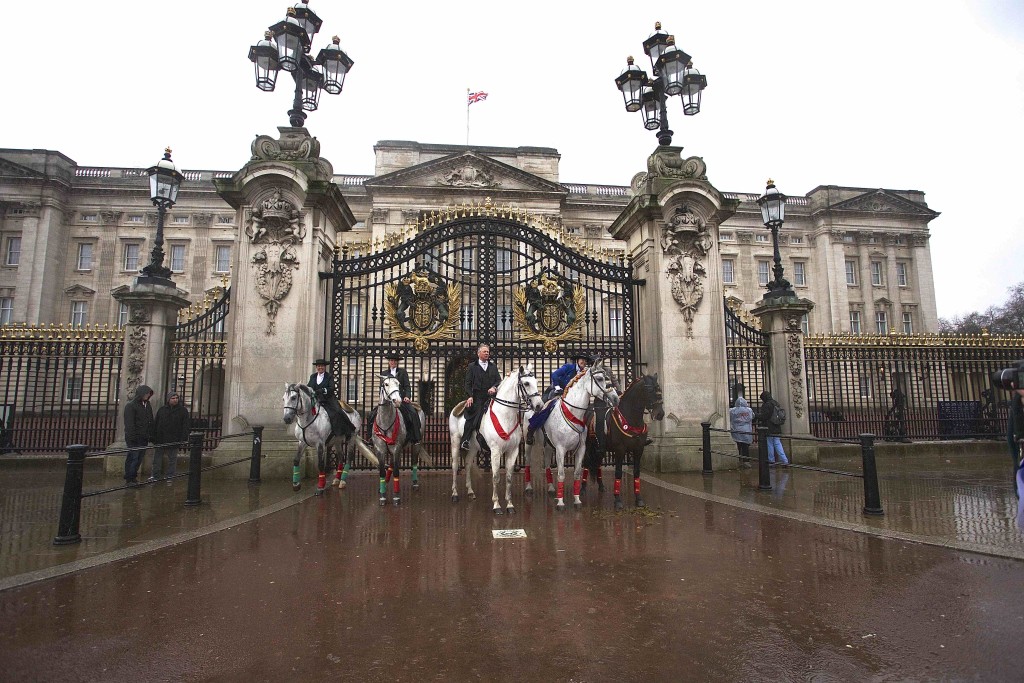 London New Years Day Parade- All The Queens Horses outside Buckingham Palace. Image by Jo Monck Photography