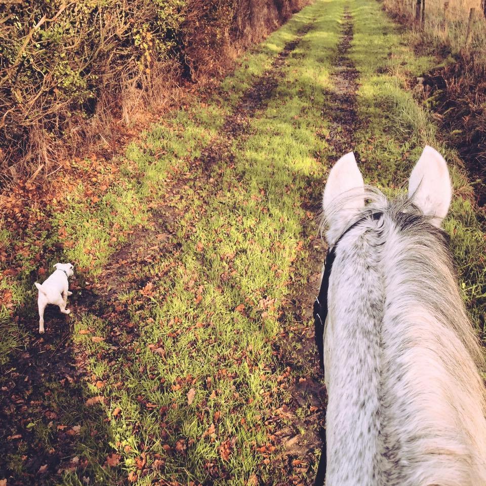 Harriet Upton - Out with Danny and Nutz the dog on a hack