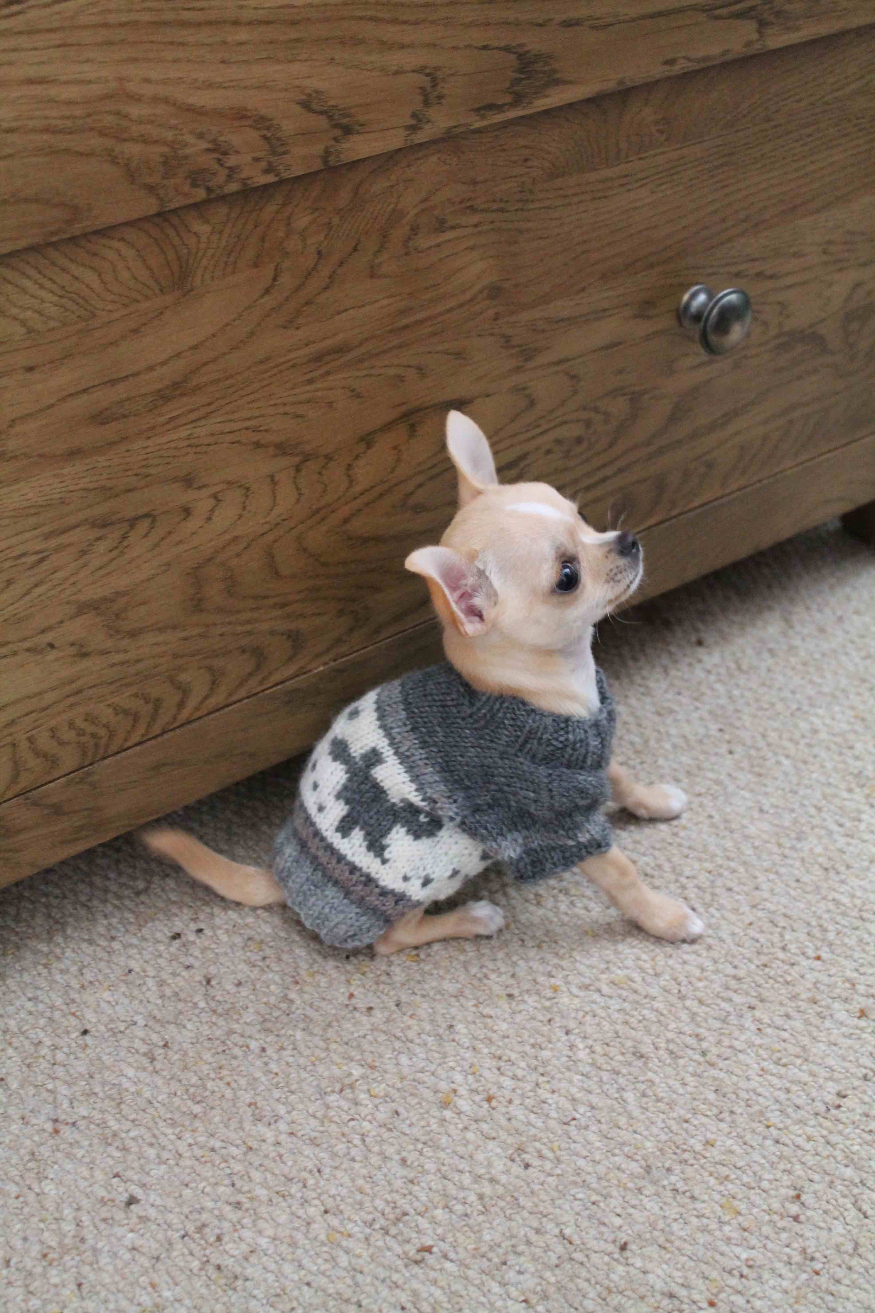 Dog Knitted Sweaters from Pink Whiskers