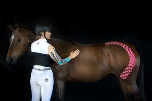 RockTape UK Launch Equine Movement Taping Course.