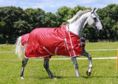 Genius Rug – The Electric fence rug for horse owners