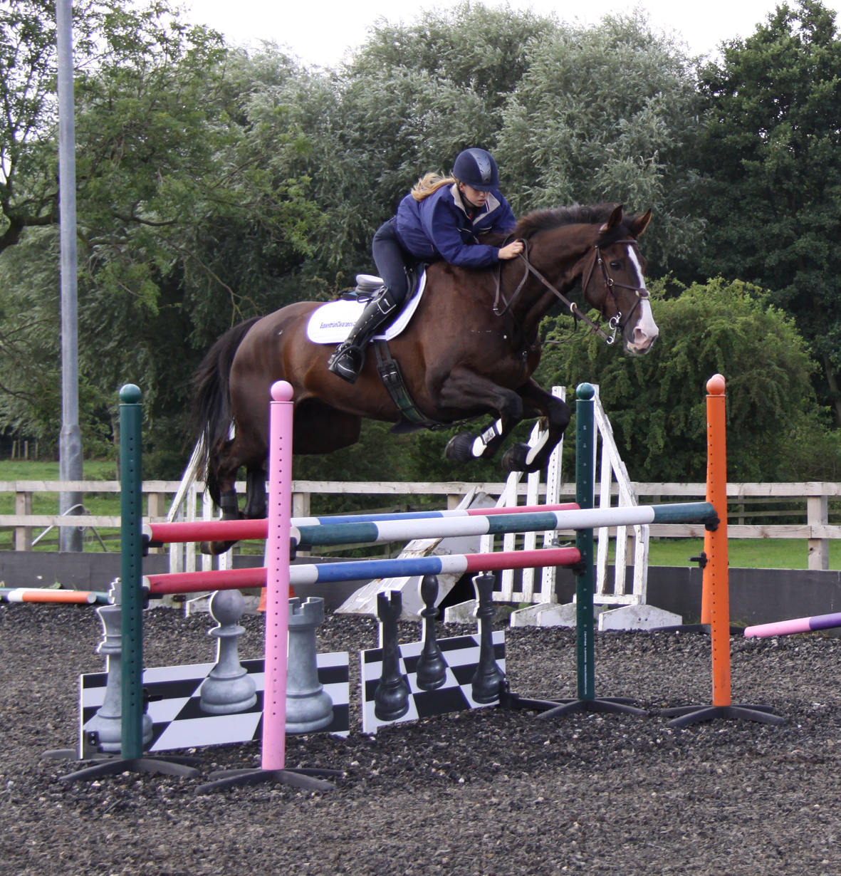 Different Types of Martingale image of horse and rider jumping