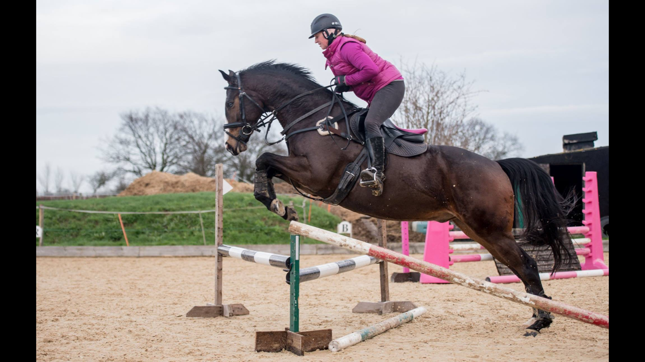 Victoria Bax - Frankie attempting his first ever corner jump