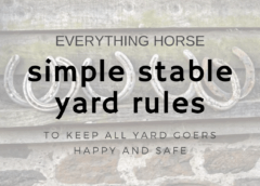 Simple Stable Yard Rules to keep yard goers happy and safe