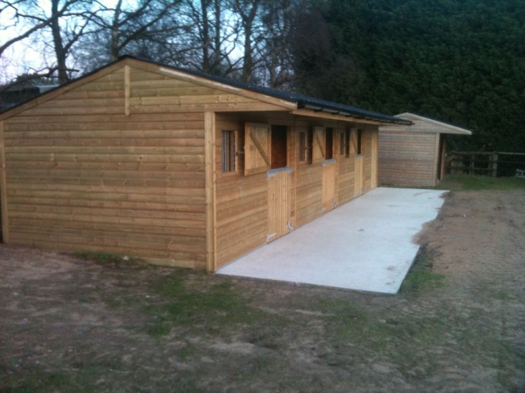 new stables - Sophie Wells
