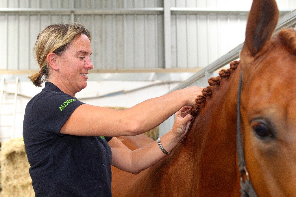 Plaiting tips - Start at the top and work your way down