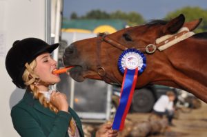 15 Things That Make You an Equestrian