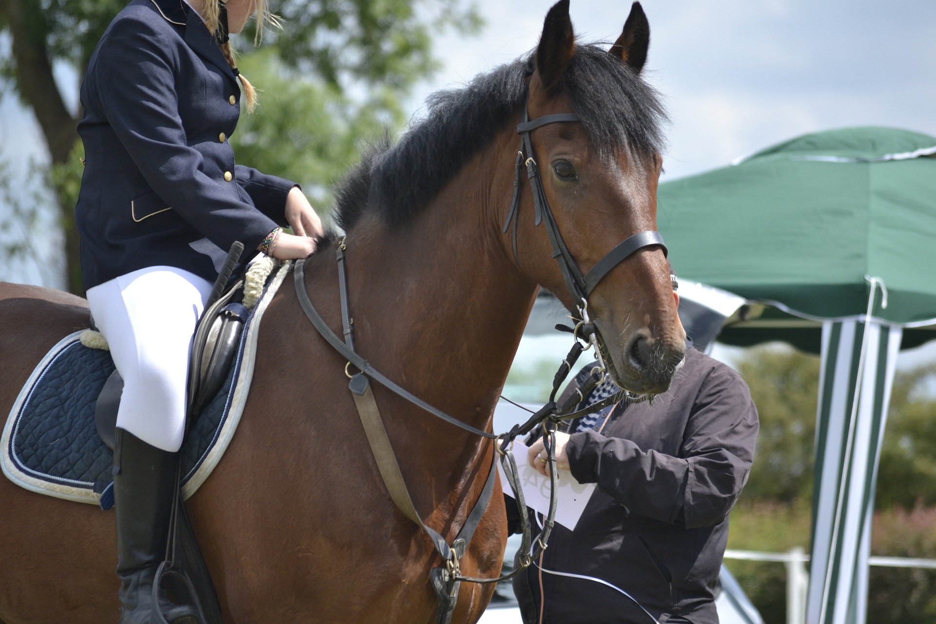3 Key Skills to Become a Confident Horse Rider