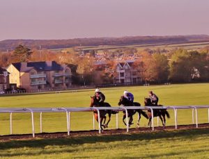 Racehorses working on the Newmarket Gallops.