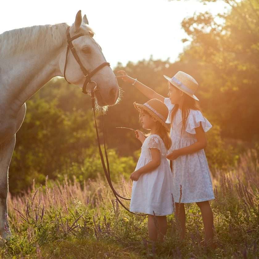 horses with children in a field