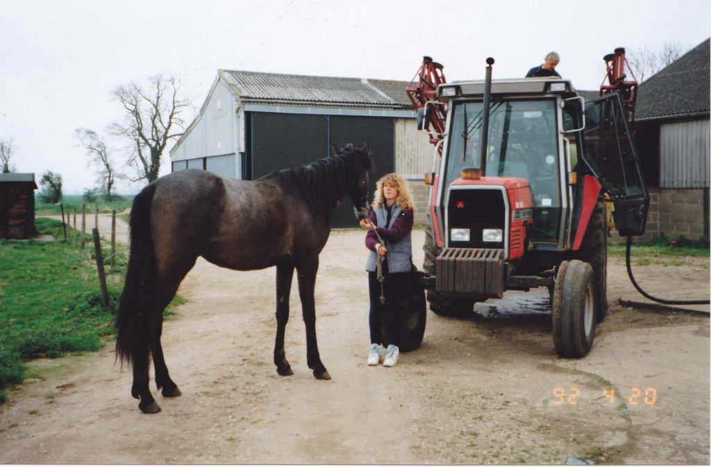 Familiarising young horse with farm machinery