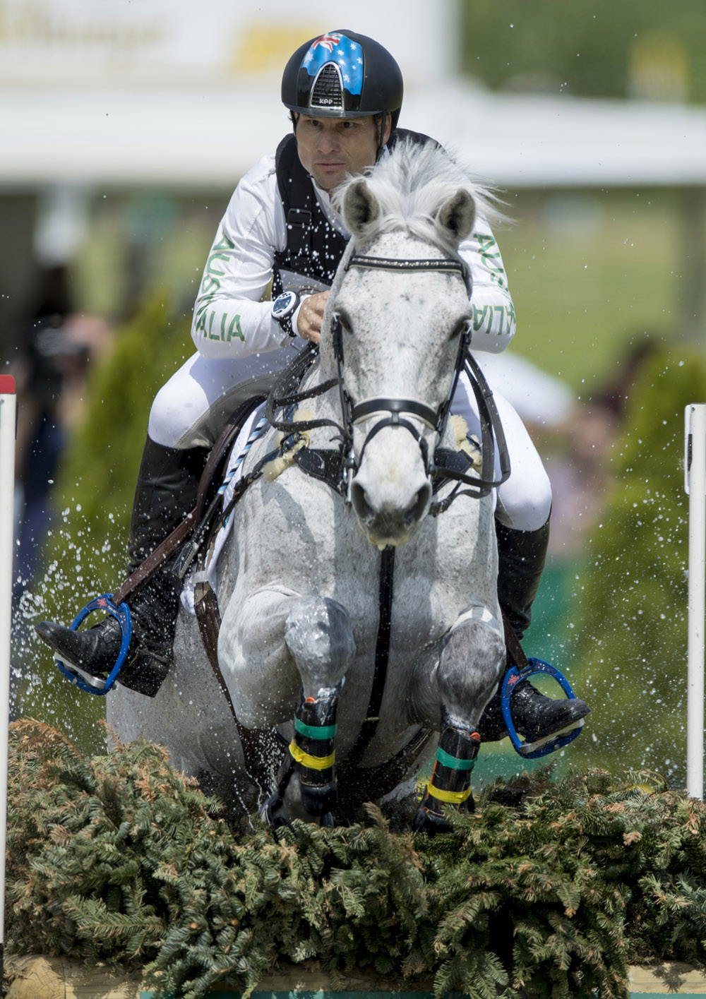Shane Rose and CP Qualified lead the victorious Australian team in the FEI Nations Cup™ Eventing, and finish individual 2nd, at Aachen (GER) (FEI/Dirk Caremans)