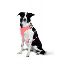equisafety dog harness
