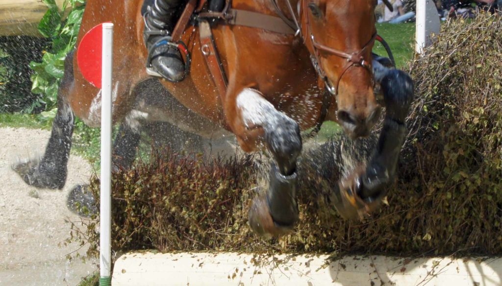 Understanding Fatigue in Horses Skipton Horse Trials