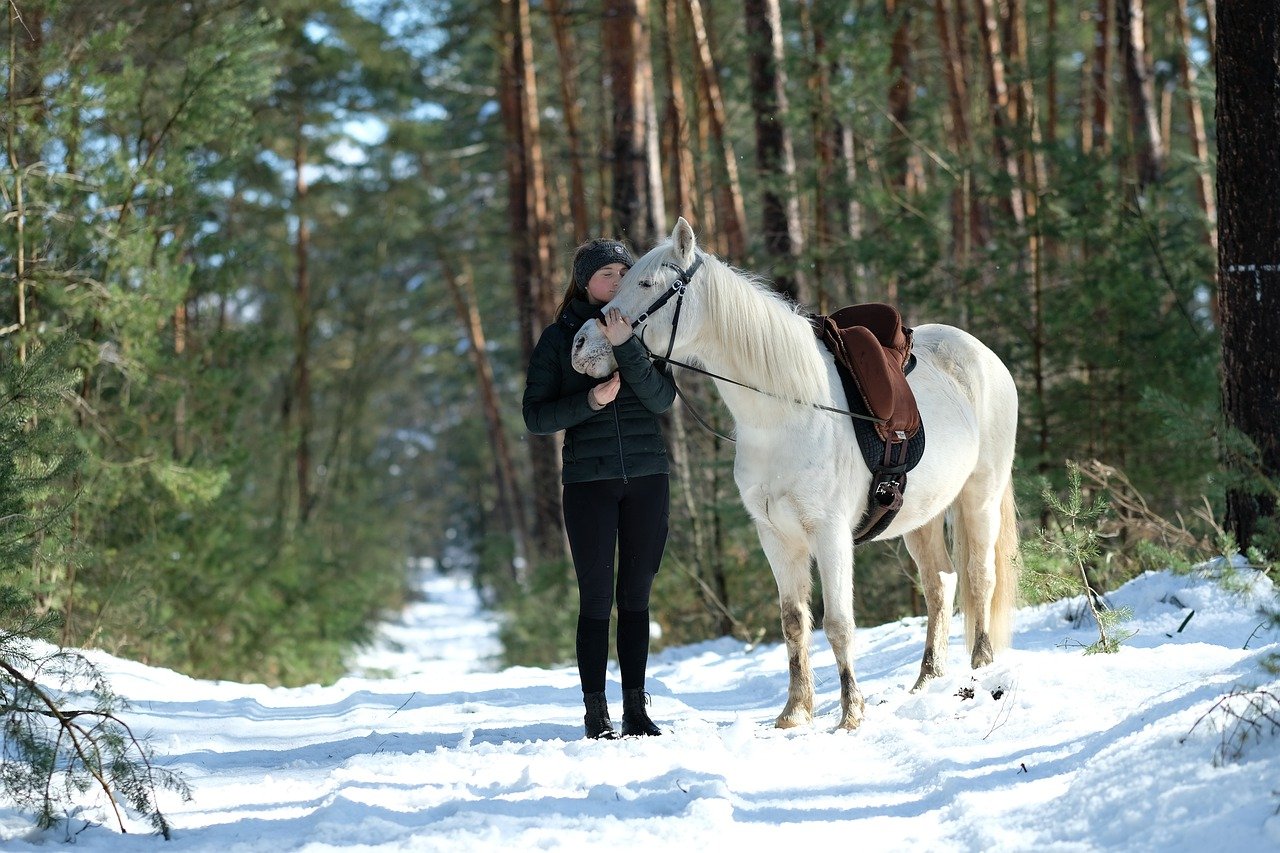 Thermal Riding Gear for horse owners. White horse stood on snow with rider in the woods