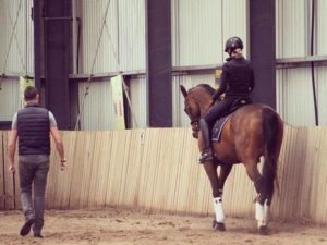 youth pathway coaching programme image The Stephen Hayes Dressage Clinic Tour 2016 has been a huge success