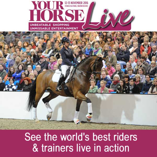 Your Horse Live is Bigger and Better than Ever!