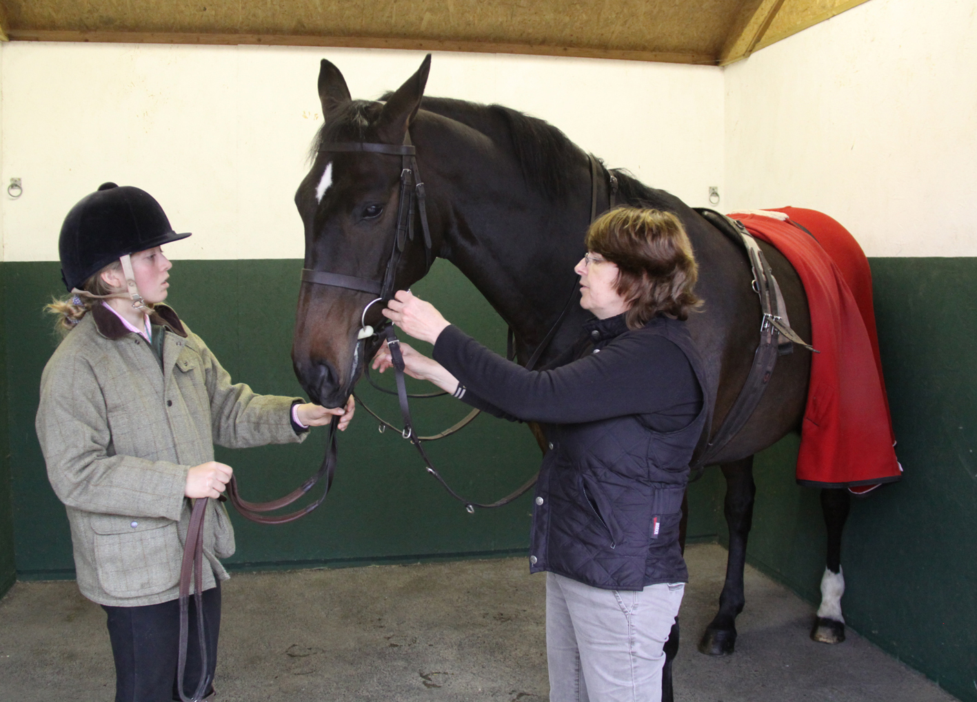 Fitting a Bridle Correctly
