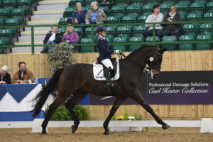 Top tips on how to remember a dressage test