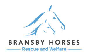 Bransby Horses 