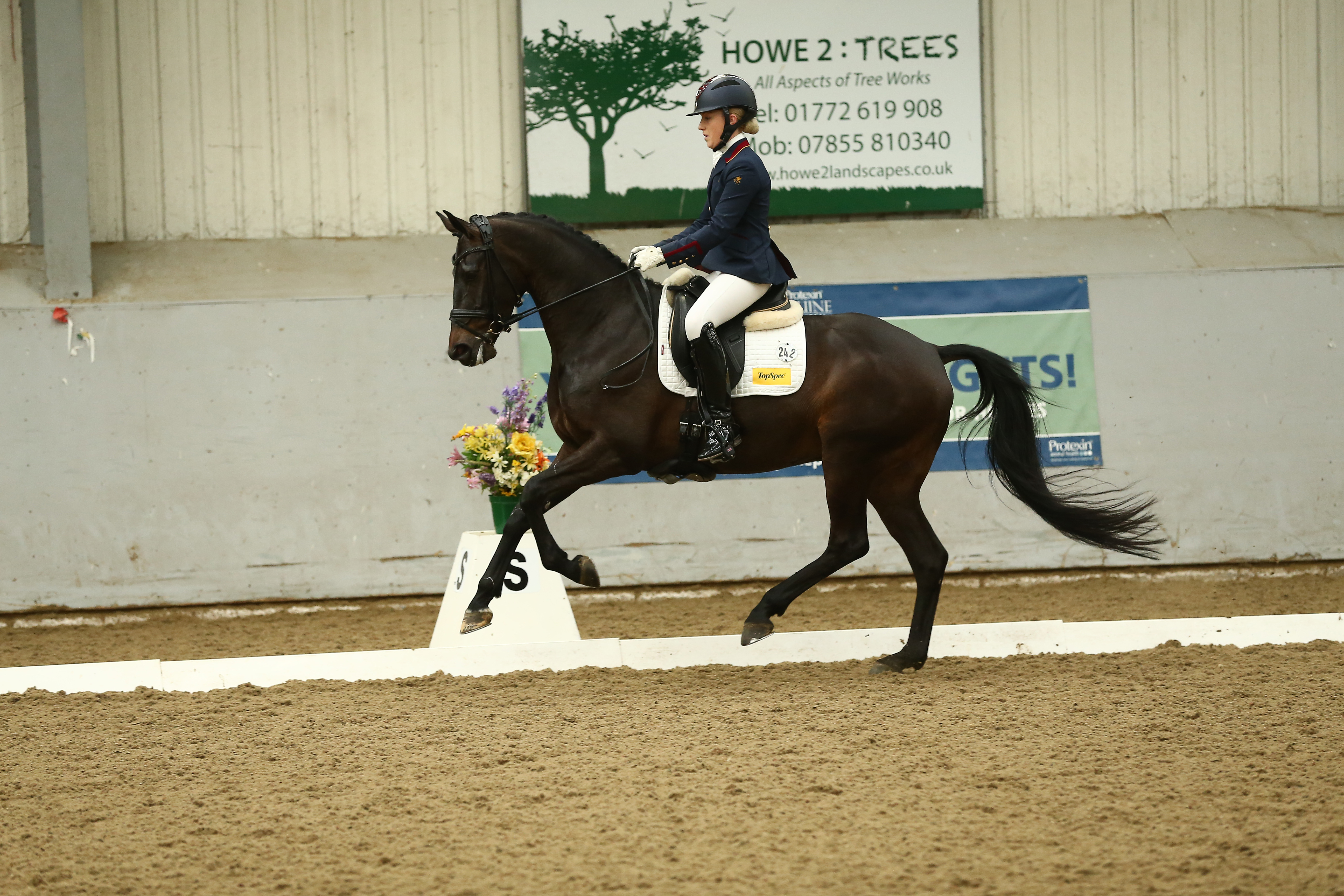 Success for Team TopSpec Riders - MSJ Top Secret, Elementary Northwest Regional Champion, owned by Emma Blundell & Mount St. John and ridden by Lucinda Elliot