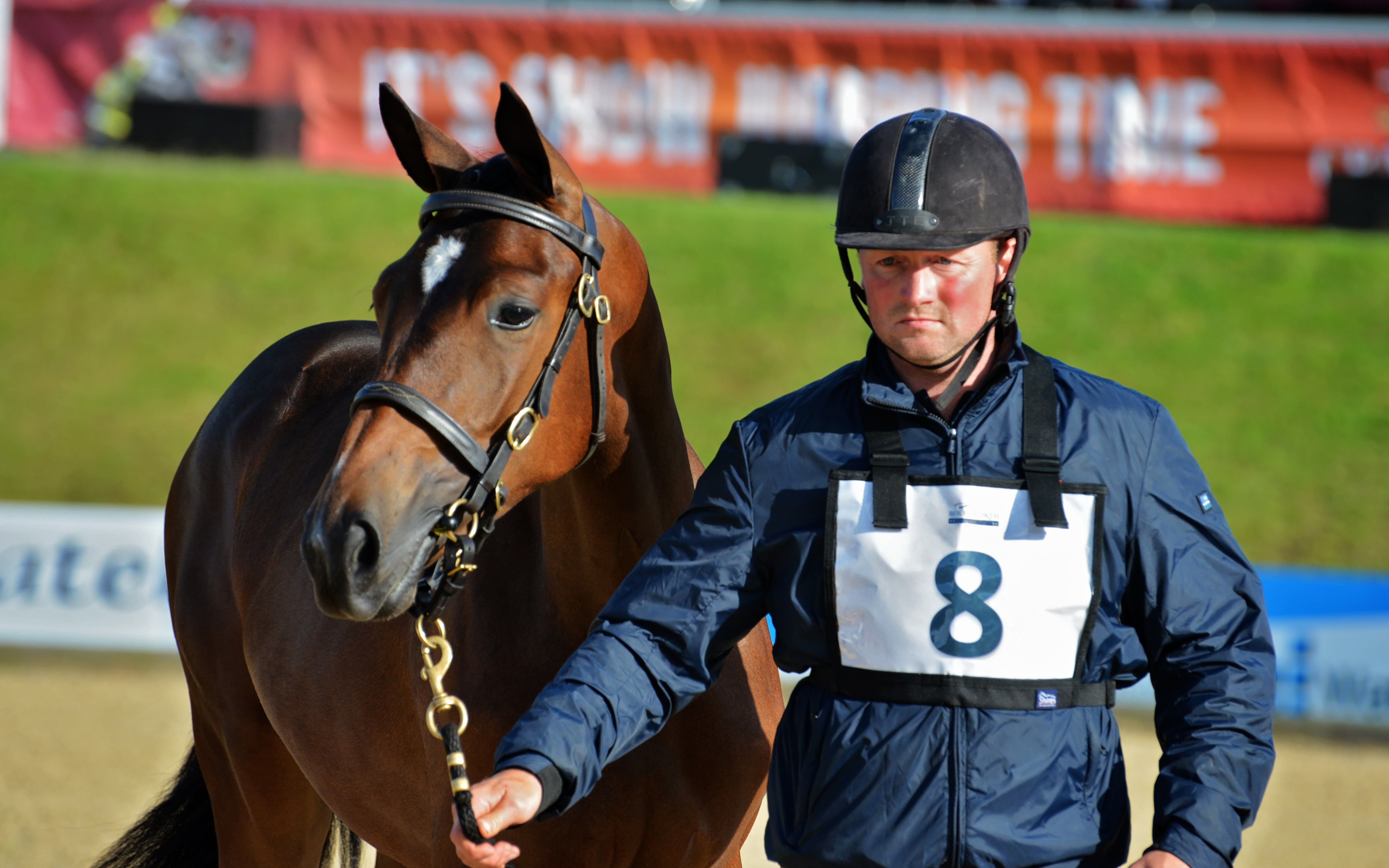 The Equerry Bolesworth International Horse Show Elite Auction 2017