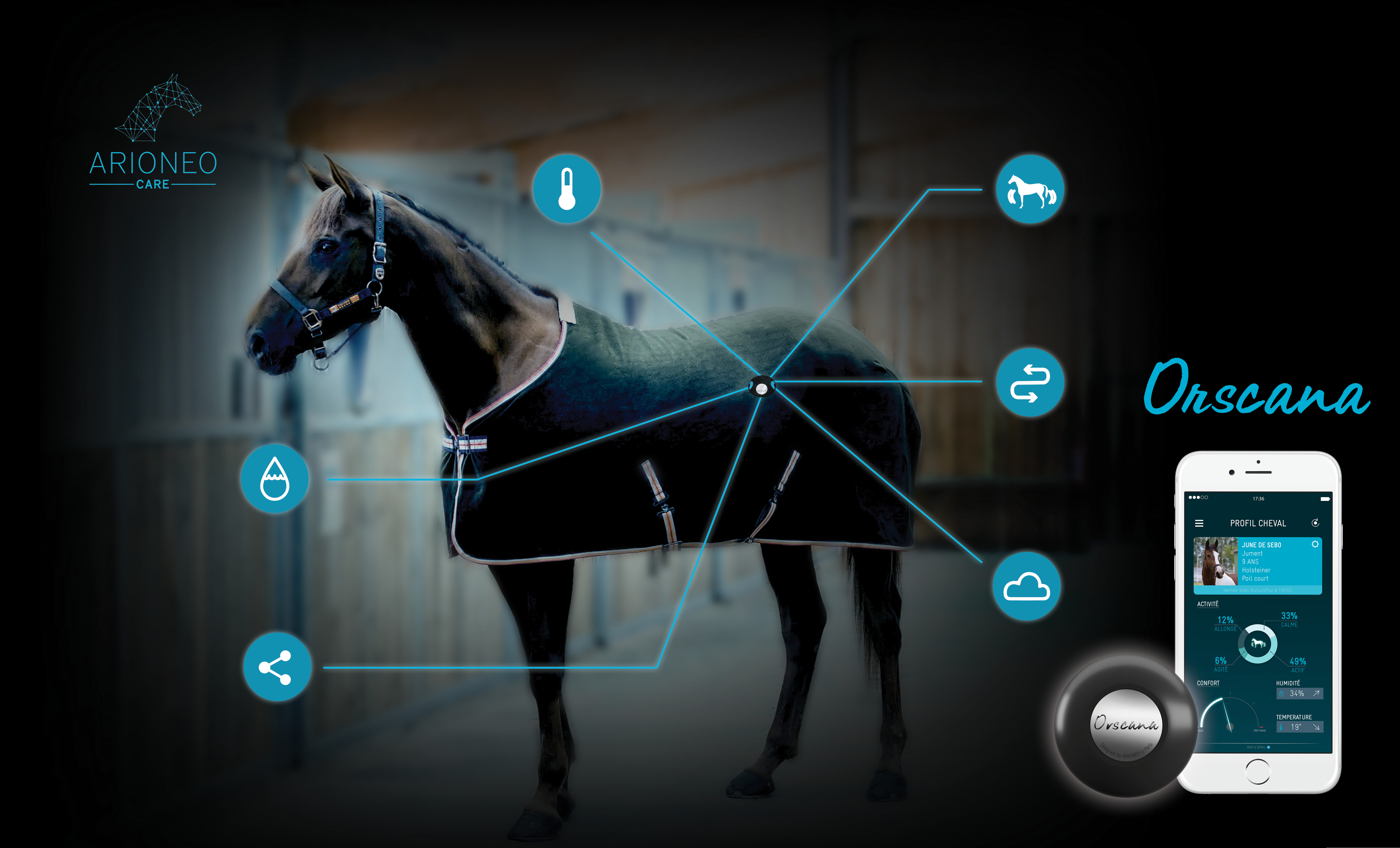 Orscana MONITORING AND TRACKING HOLISTIC WELLBEING OF EACH HORSE