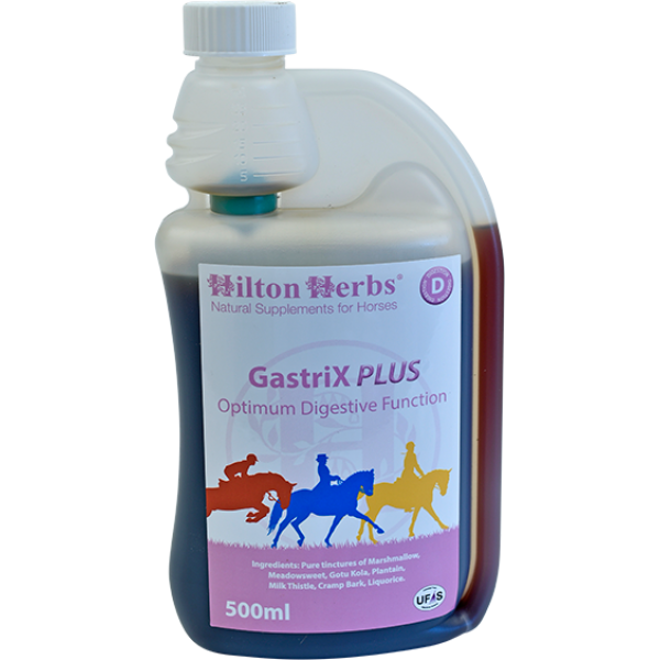 GASTRIX PLUS Hilton Herbs