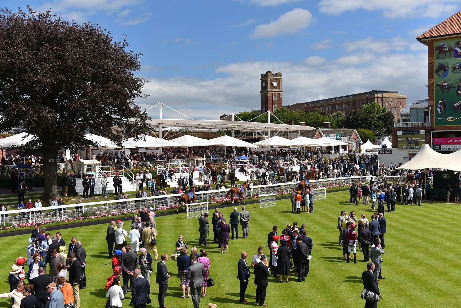 Friendly Soul heads seven runners for Tattersalls Musidora Stakes at York this Wednesday
