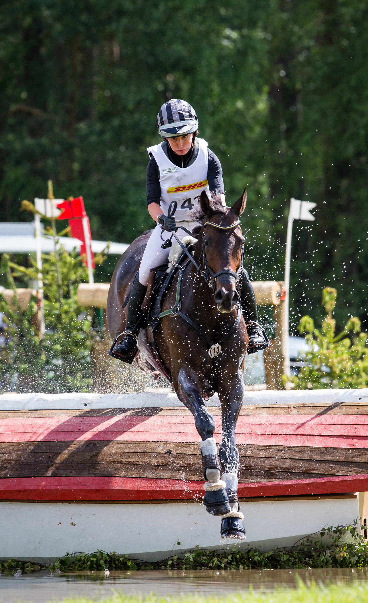 Bettina Hoy (GER) and Designer 10 maintain their lead after jumping clear inside the time cross country at Luhmühlen CCI 4* presented by DHL (GER), fifth leg of the FEI Classics™ (FEI/Eric Knoll)