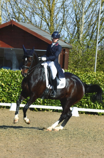 Collective Equestrian Riders to Compete at Hickstead CDI