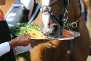 Bintang II - Laura Renwick and Bing, helping himself to a carrot during a prize giving.