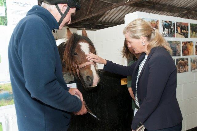 Horse Sanctuary- HRH The Countess of Wessex with Dante, Claire Joce and John Hill Volunteer