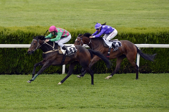 identifying a front runner in horse racing