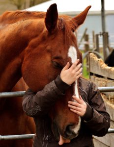 Myths about Horse Owners