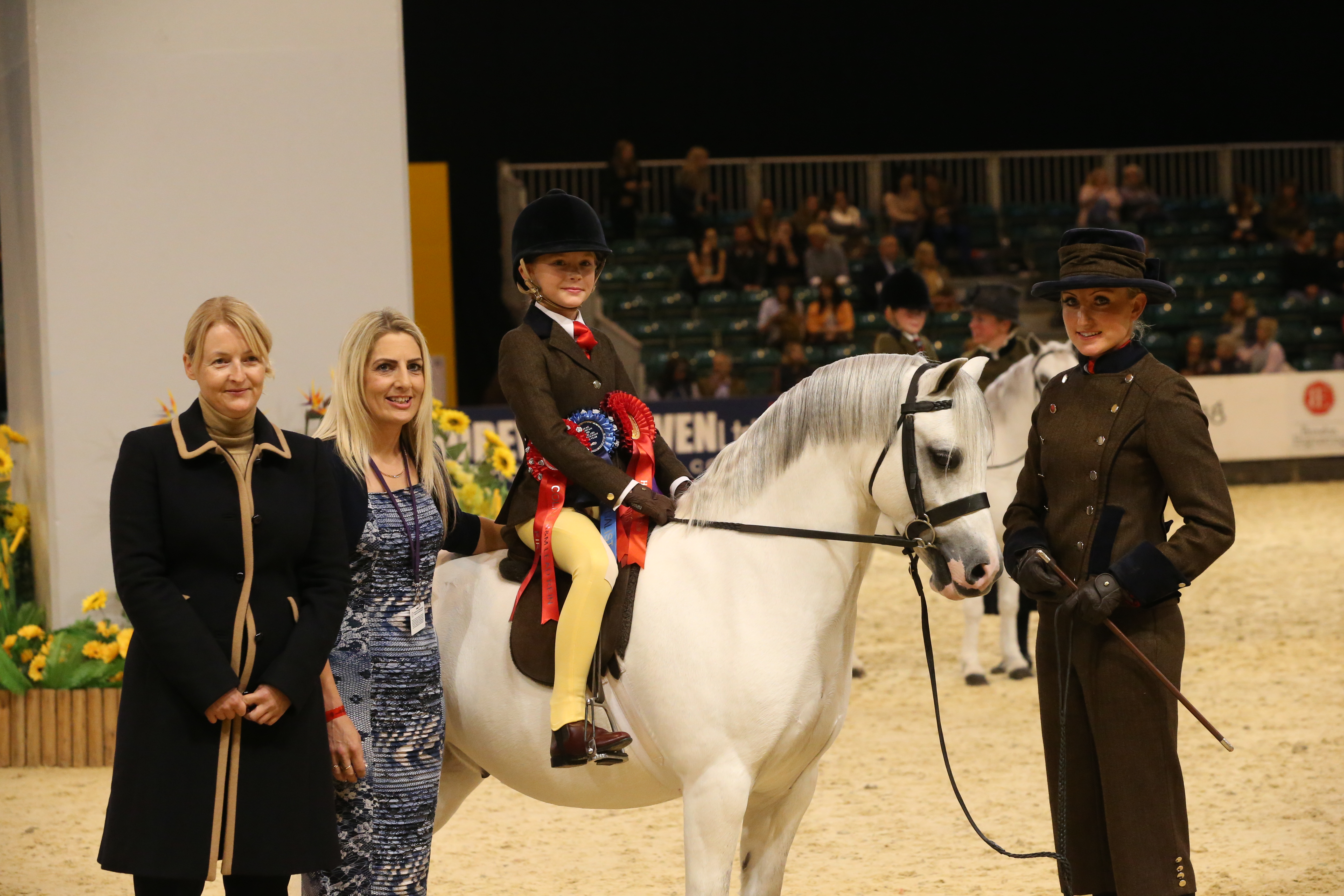 Horse of the Year Show - Colne M&M Lead Rein Pony of the Year