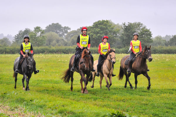 British Riding Clubs Endurance Team Event Sponsored by British Horse Feeds Comes to an Exciting End