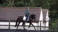 Master your Centre Line and the Half 10 Metre Circle with Georgie Bennett- Think ahead and prepare when turning up the centre line.