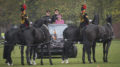 King's Troop Royal Horse Artillery - Pictured: Her Majesty The Queen inspects the parade. Image Corporal Dek Traylor / MoD Crown Copyright