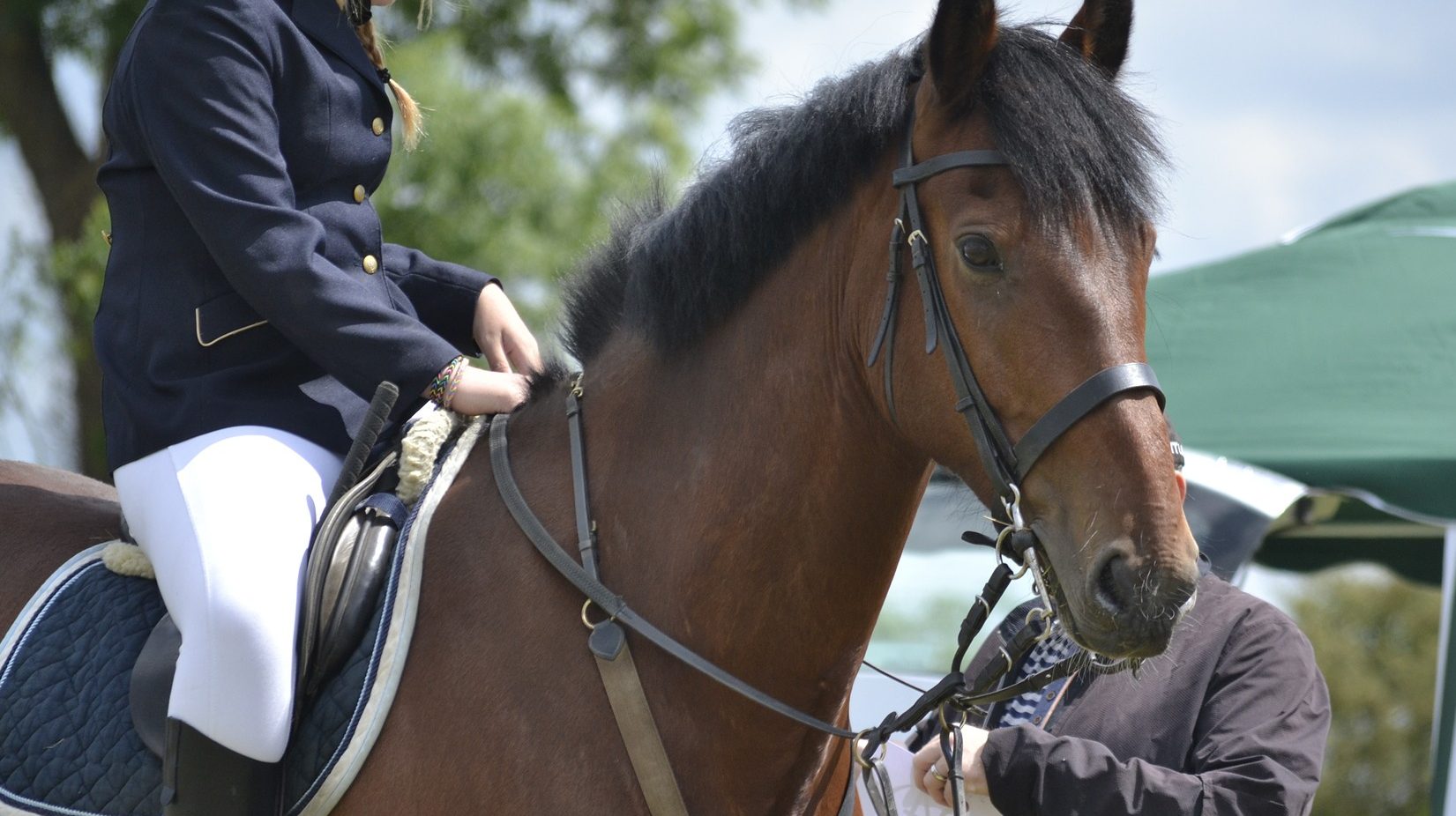 new coach bursery scheme available thanks to British Equestrian