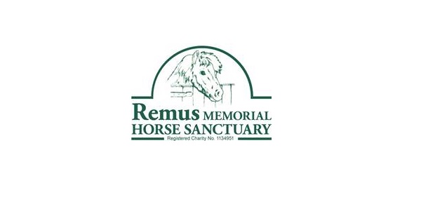 Remus Horse Sanctuary attacked by vandals