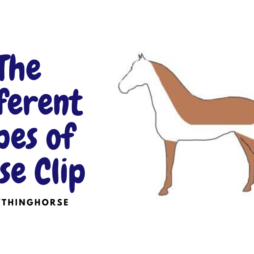 the-different-types-of-horse-clip-everything-horse