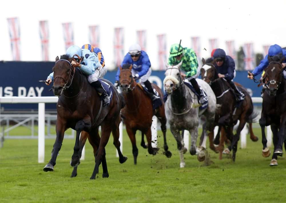 horses racing at Royal Ascot, colts and fillies who will also run in the the Commonwealth Cup