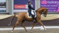 Changes to the British Dressage Board - Image Daisy Jackson Dressage