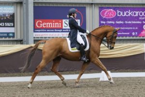 Changes to the British Dressage Board - Image Daisy Jackson Dressage