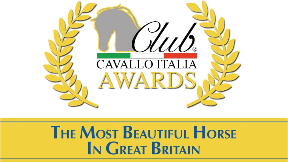 The Most Beautiful Horse in Great Britain Competition